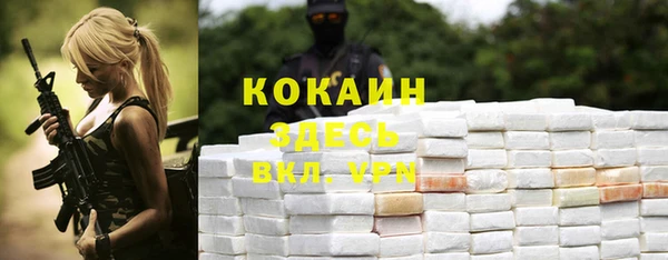 молекула духа Лихославль
