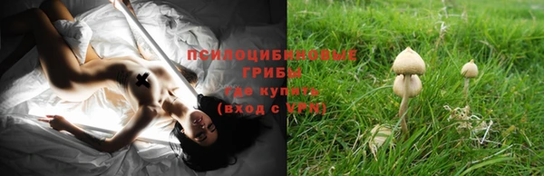 молекула духа Лихославль