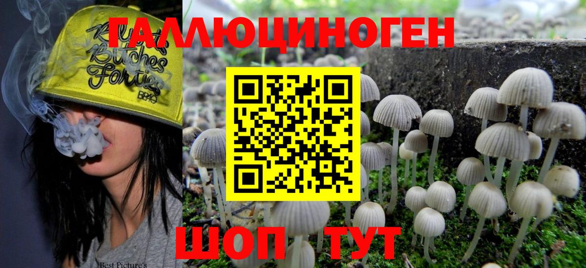 Галлюциногенные грибы Magic Shrooms Малгобек