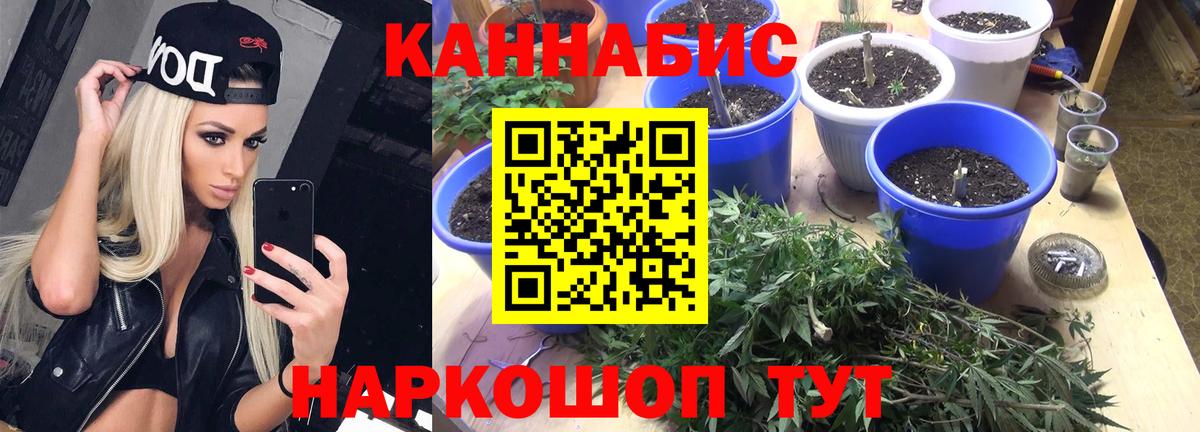 НБОМе Малгобек